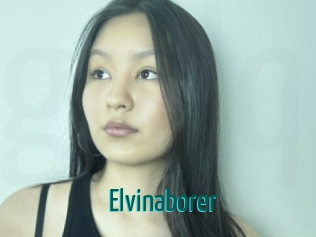 Elvinaborer