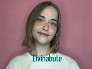 Elvinabute