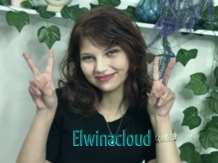 Elwinacloud