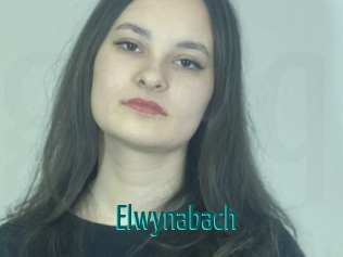 Elwynabach