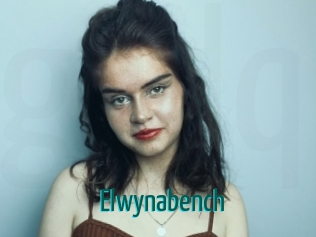 Elwynabench