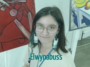 Elwynabuss