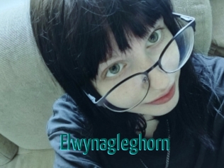 Elwynagleghorn