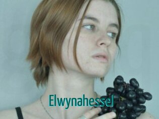 Elwynahessel