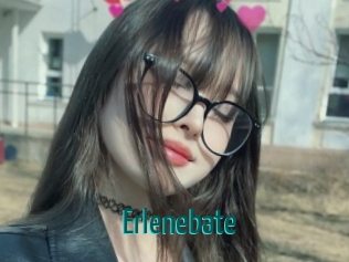 Erlenebate