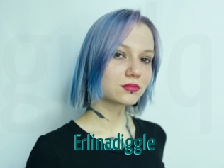 Erlinadiggle
