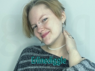 Erlinediggle