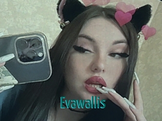 Evawallis