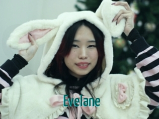 Evelane