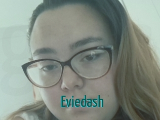 Eviedash