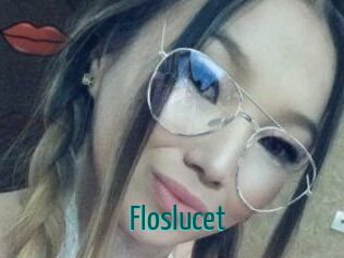 Floslucet Guide du Queutard