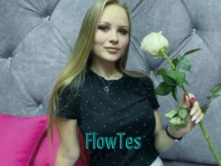 FlowTes