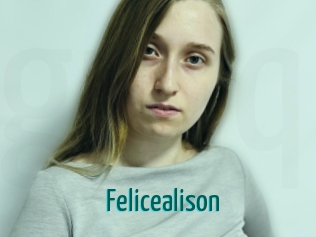 felicealison Guide du Queutard