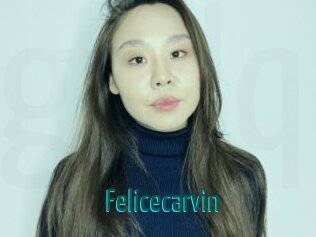 Felicecarvin