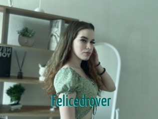 Felicedrover