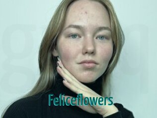 Feliceflowers