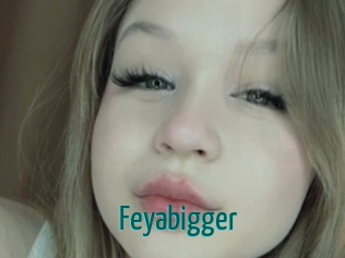 feyabigger Guide du Queutard