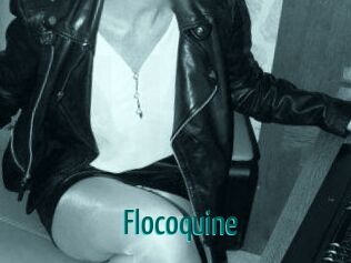 flocoquine Guide du Queutard