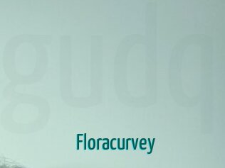 Floracurvey