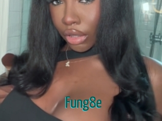 Fung8e