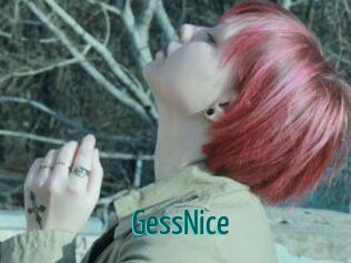 GessNice
