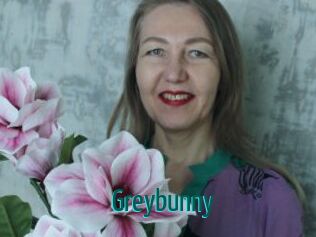 Greybunny