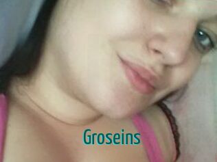 groseins Guide du Queutard