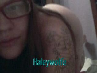 Haleywolfe Guide du Queutard