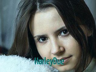 Harley_Due