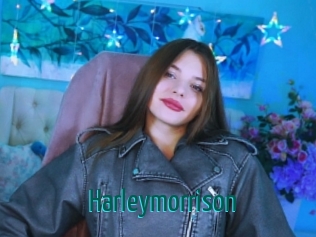 Harleymorrison