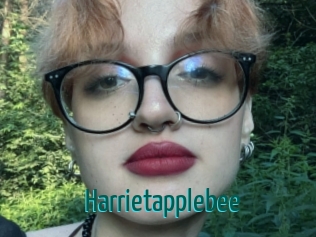 harrietapplebee Guide du Queutard