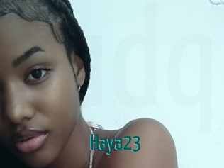 Haya23