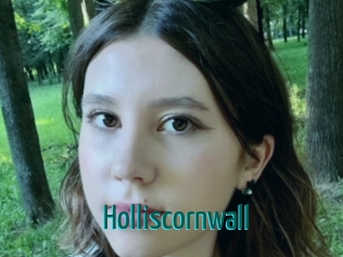 Holliscornwall