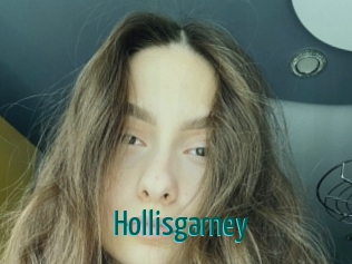 Hollisgarney