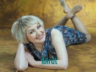 Ibirdt