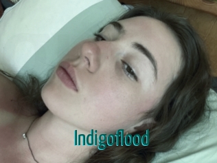 Indigoflood