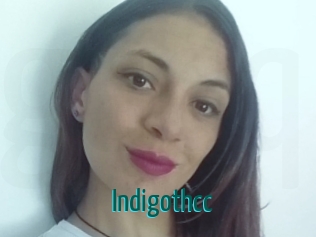 Indigothcc