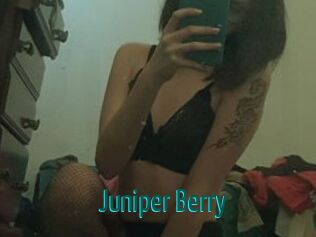 Juniper_Berry