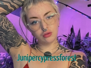 Junipercypressforest