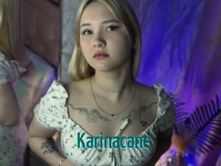 Karinacane