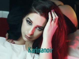 Karinanoir