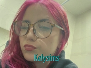 kelysims Guide du Queutard