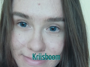Kriisboom