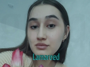Lamareed