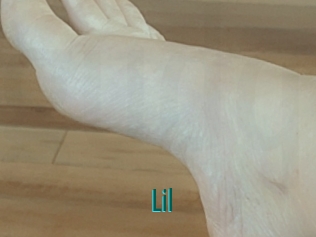 Lil