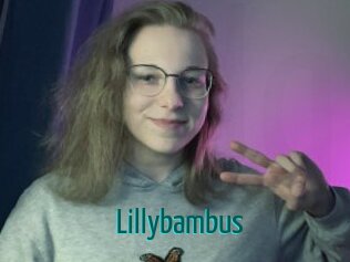 lillybambus Guide du Queutard