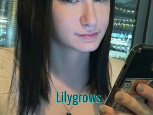 Lilygrows