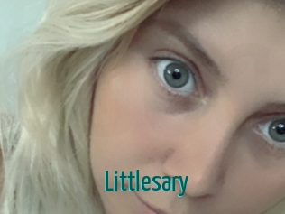 Littlesary