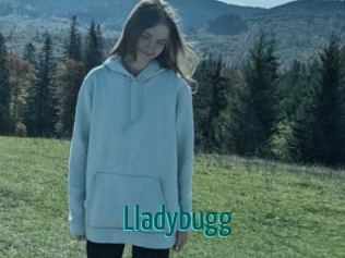 Lladybugg