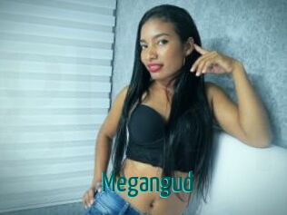 Megangud